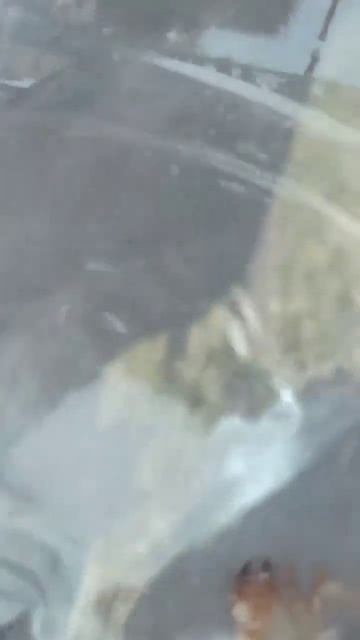 ИЗБАВИМСЯ ОТ ОПАСНОГО  ВРЕДИТЕЛЯ САДОВЫХ И ОГОРОДНЫХ КУЛЬТУР ОТ ХРУЩА