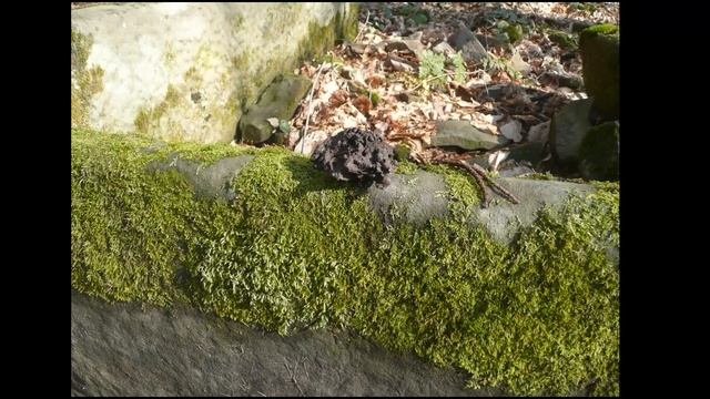 Историко-культурное наследие аула Калеж смотреть онлайн