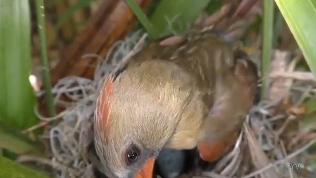 7 сентября 2020 г. смотреть онлайн