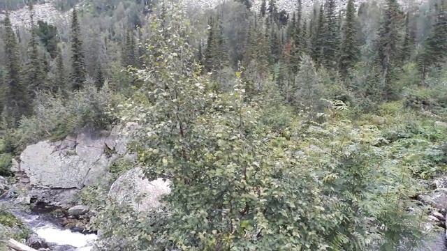 Поднебесные зубья (Лужба) 2017