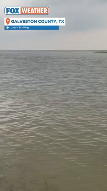 Large Hammerhead Shark Seen Thrashing In Shallow Waters Off Texas Coast смотреть онлайн