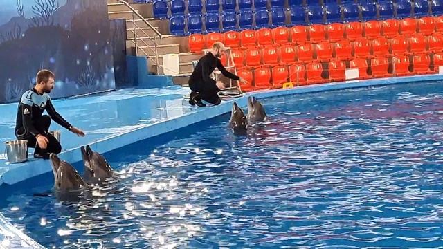 17 января 2024 г.(4) смотреть онлайн