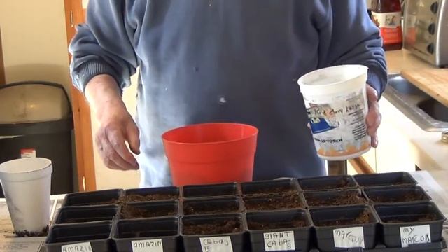 seed starting 11 002 смотреть онлайн