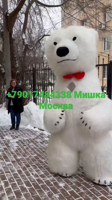 Белый Мишка , для заказа в Москве +79017484338 смотреть онлайн
