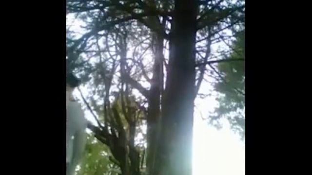 Стримеры, которые засняли свой последний момент смотреть онлайн