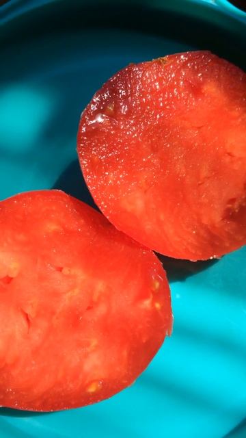 Томат Фиделио смотреть онлайн