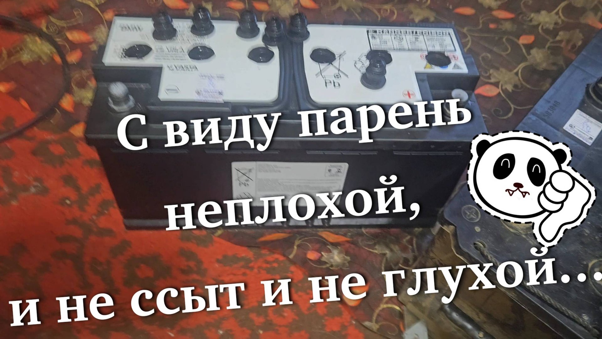 AGM-VARTA-BMW-100A/h с монгольскими шпагами.Часть первая.