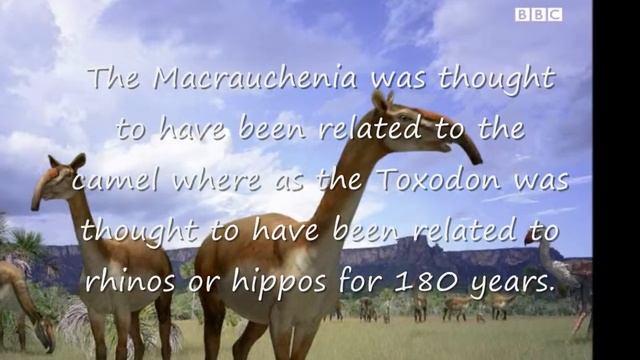 Animal News: Darwin's Strangest Animals Finely Placed On Evolutionary Tree смотреть онлайн