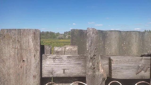 Жеребец пришел работать с кобылами смотреть онлайн