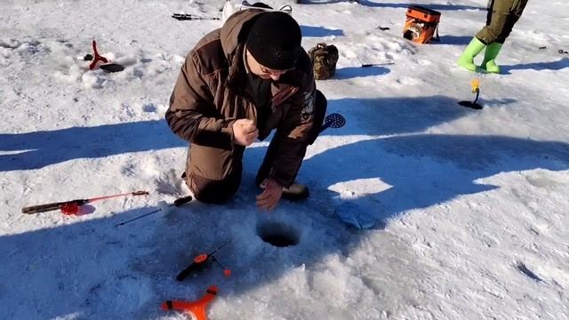 Поимки и сход форели смотреть онлайн