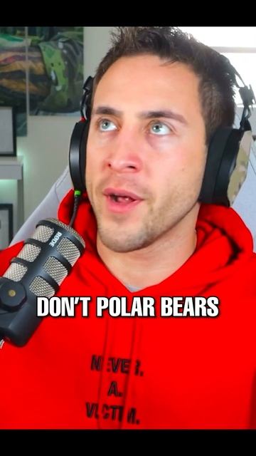 What Would You Do If You Were Faced With A Polar Bear? #shorts смотреть онлайн