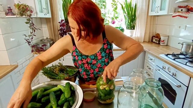 Квашені, хрусткі огірки смотреть онлайн