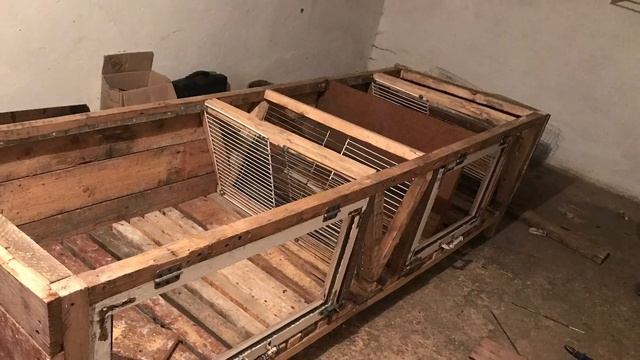 Найкращий кролятник . З яких кліток почати розведення кролів смотреть онлайн