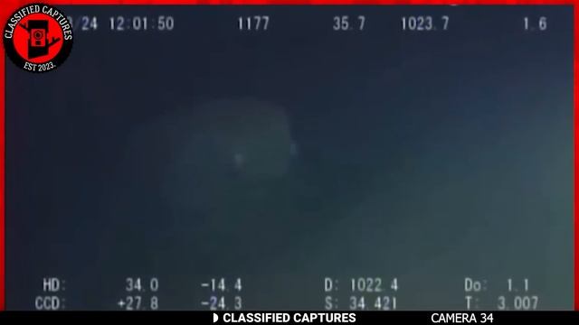 Must-See Trail Cam Footage: Prepare to Be Disturbed смотреть онлайн