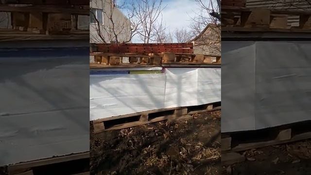 Весенний облёт пчёл смотреть онлайн