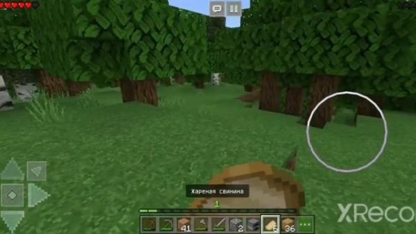 Выживание pro в Craftman 4