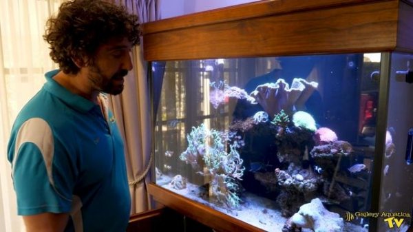 Treating Photosynthetic Flatworms