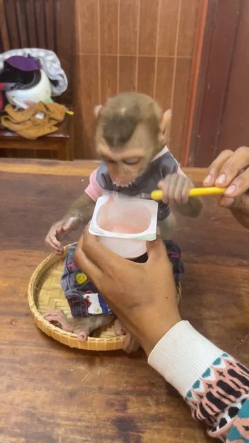 Mason Eats Dirty Mouth Full Because Delicious