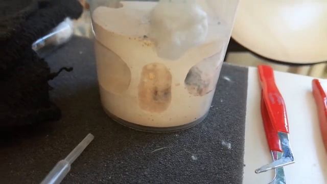 СБЕЖАЛИ CAMPONOTUS NICOBARENSIS ! смотреть онлайн