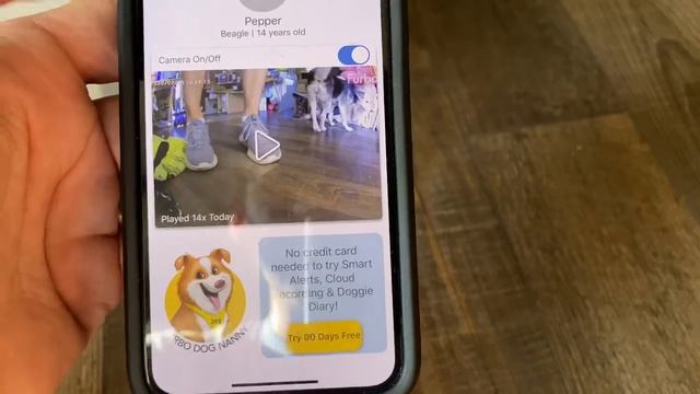 Furbo Dog camera смотреть онлайн