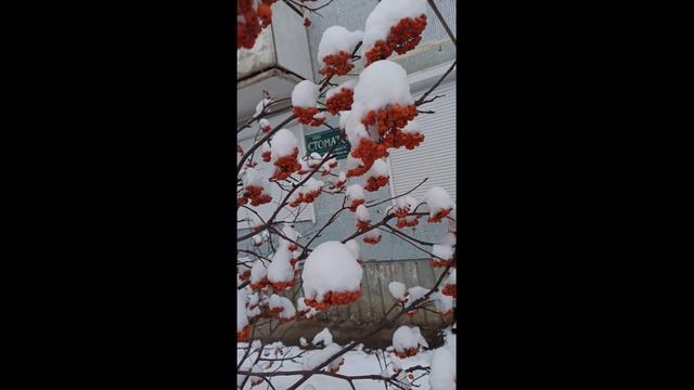 рябина осенняя смотреть онлайн