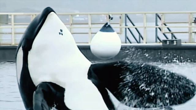 War of change смотреть онлайн