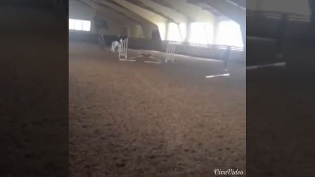 Мое занятие "Конкуром" смотреть онлайн