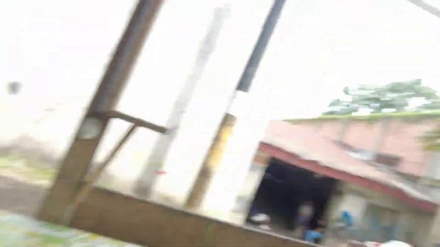 This Amazon Slum Eats Insect For Breakfast 🐛 #Iqutos 🇵🇪 क्या में खा पाया? смотреть онлайн
