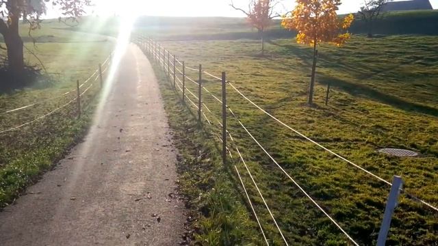 Lama farm in Switzerland смотреть онлайн
