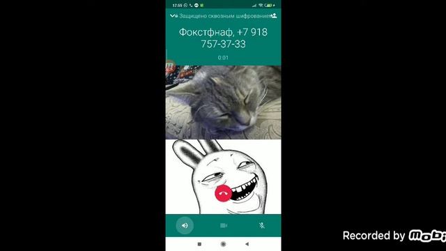 папирус злой срашно смотреть онлайн