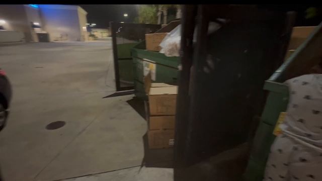 TUDO O QUE EU ACHEI NO LIXO DOS ESTADOS UNIDOS | DUMPSTER смотреть онлайн