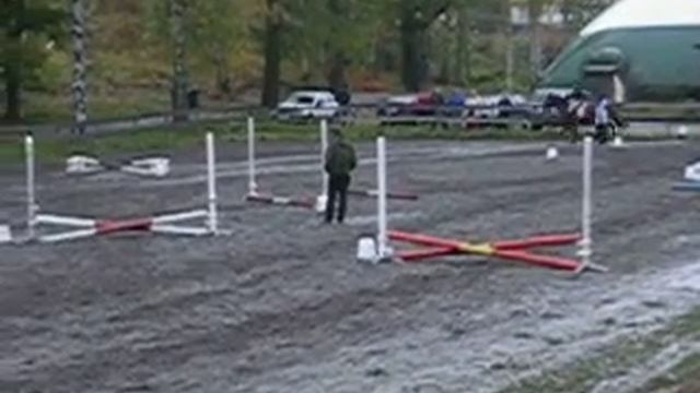 Sprangstevne med Prince смотреть онлайн