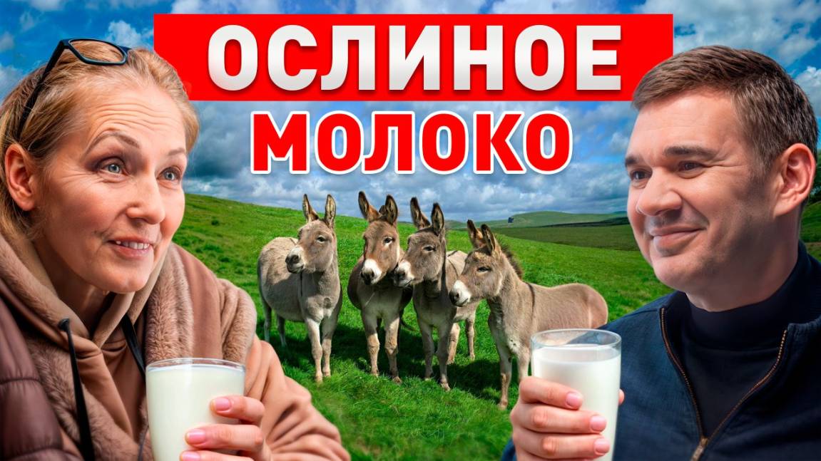 Ослиная ферма: как заработать на ослином мясе и молоке? смотреть онлайн