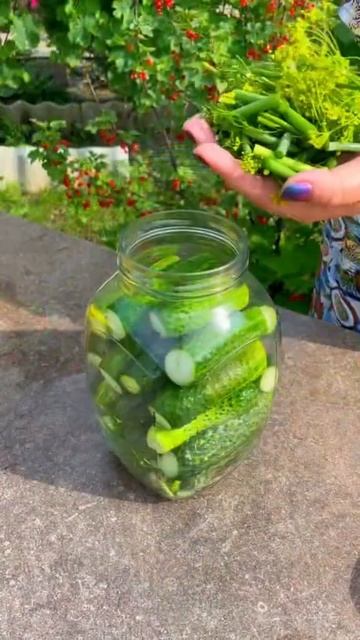 Идеальные малосольные огурчики 🥒 смотреть онлайн