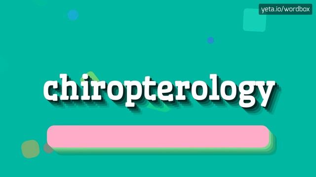 CHIROPTEROLOGY - HOW TO PRONOUNCE IT? смотреть онлайн