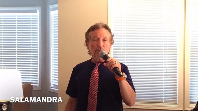 SALAMANDRA смотреть онлайн