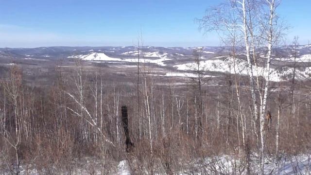 Охота на кабана с подхода! Закрытие сезона! Попался пятак! смотреть онлайн