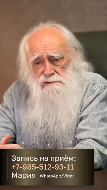 Звериный мир: межвидовые встречи