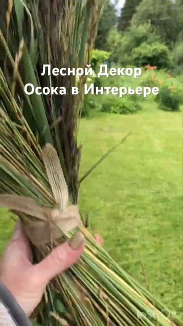 #таро #цветы #тароонлайн #сухоцветы #цветывсаду #интерьер смотреть онлайн