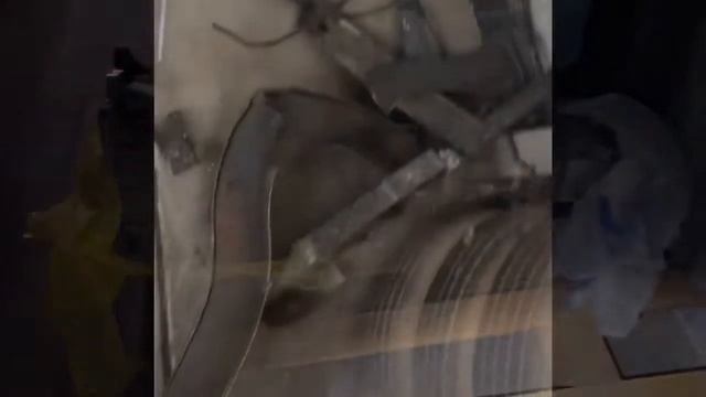 Project Barracuda Update!