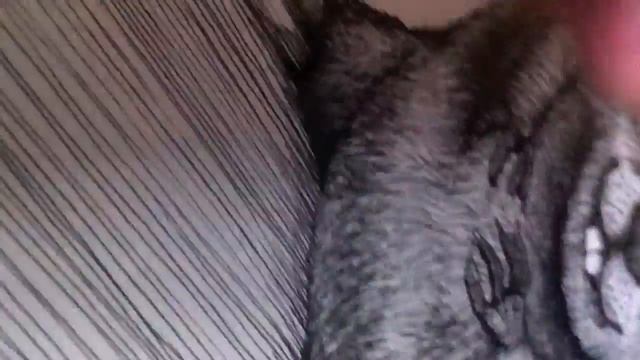 Angry Beavers by Graham Curran смотреть онлайн