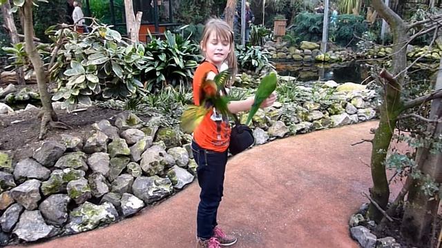 Een middagje Orchideenhoeve met mijn kleindochter dat levert leuke beelden op. смотреть онлайн