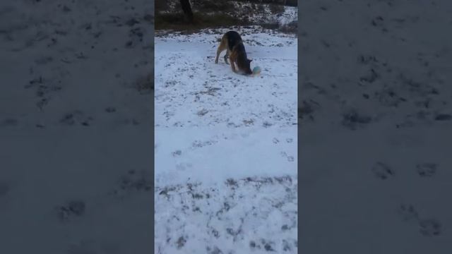 ЛЕТАЮЩАЯ ТАРЕЛКА И Я С АЙНОЙ смотреть онлайн
