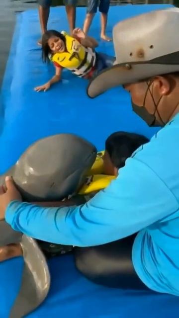 Дельфин целует ребенка / dolphin kisses a child смотреть онлайн