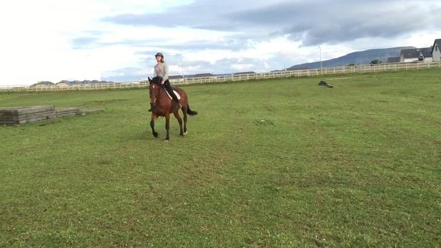 Freya 4 open field смотреть онлайн