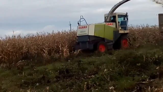 Уборка кукурузы №2 смотреть онлайн