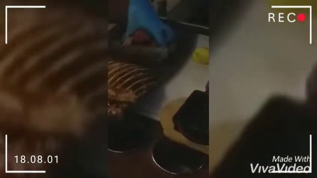 Kuzu kafes steak 🔪 смотреть онлайн