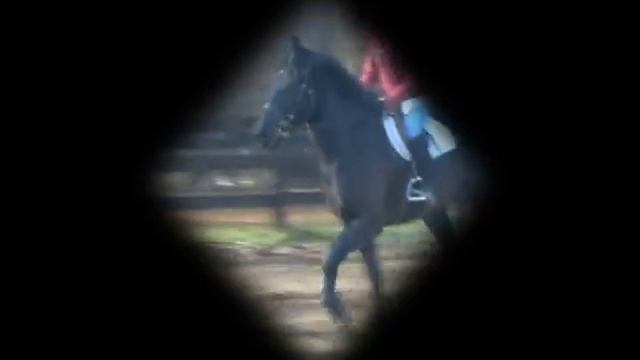 It's a kodak moment, let me go and get my camera SEXY CAN I// 200 Subscribers смотреть онлайн