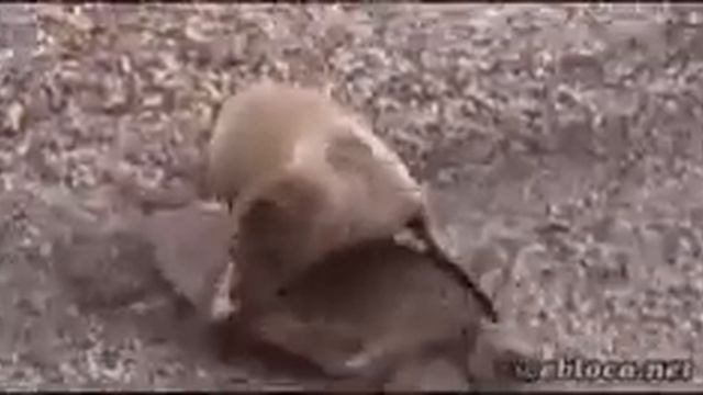 Пошли купаться ты мне друг или не друг ??? смотреть онлайн
