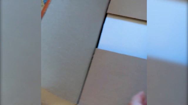 Подарок от звездочек и для лошади тоже.